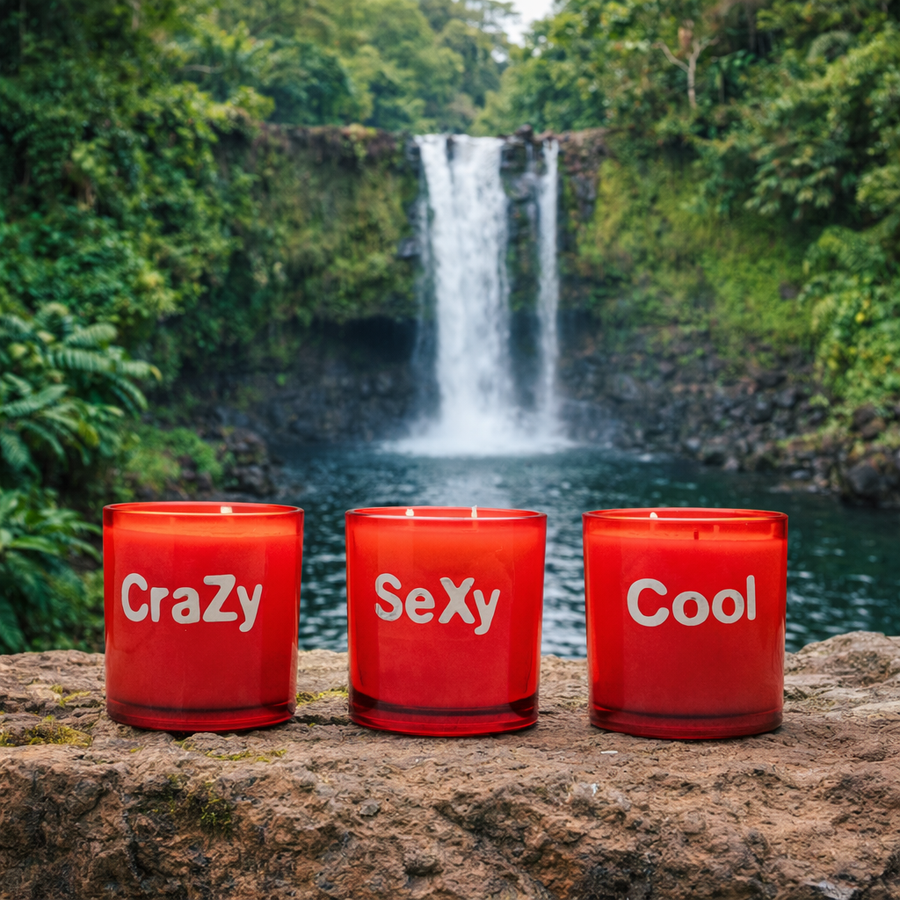 crazy sexy cool